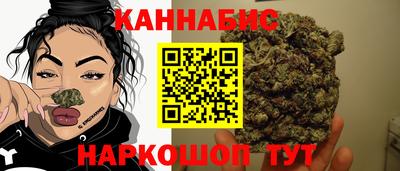 СК Тула