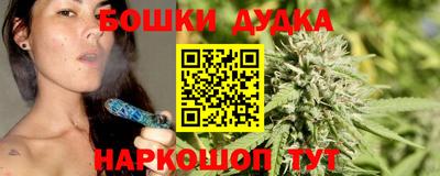 СК Тула