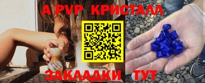 СК Тула