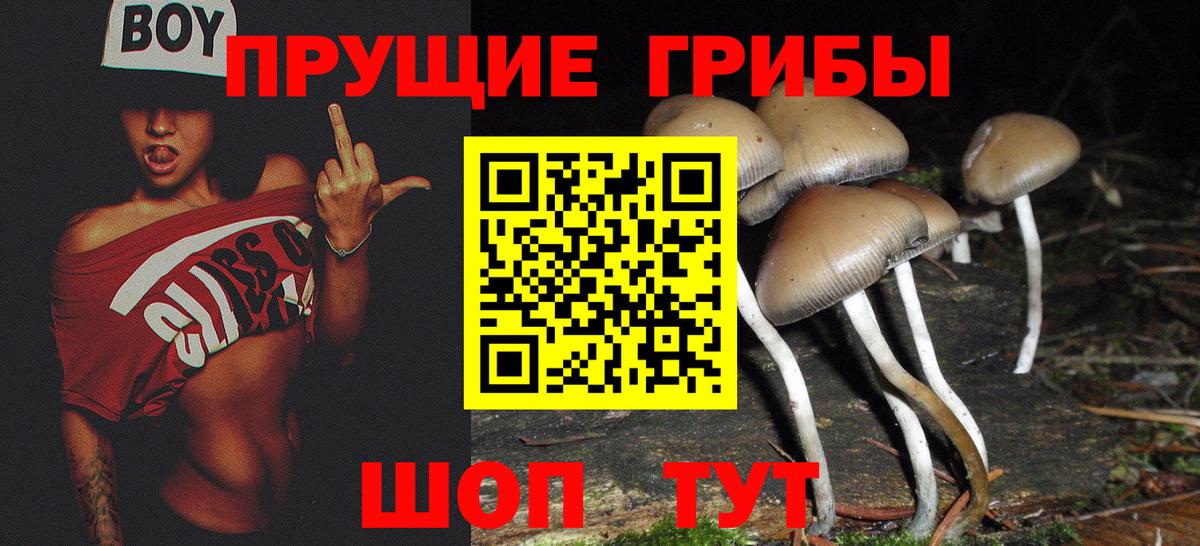 Лесосибирск  Галлюциногенные грибы мицелий  Вход с VPN 